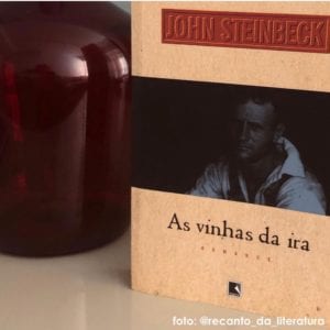 o livro aparece em pé, no primeiro plano, com um vaso de vidro vermelho logo atrás. O livro tem uma imagem em tons de azul marinho na faixa central e acima e abaixo, tom creme